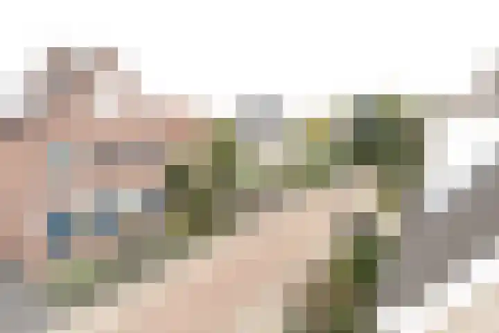 Pauwenhof 17 Goes thumbnail 4