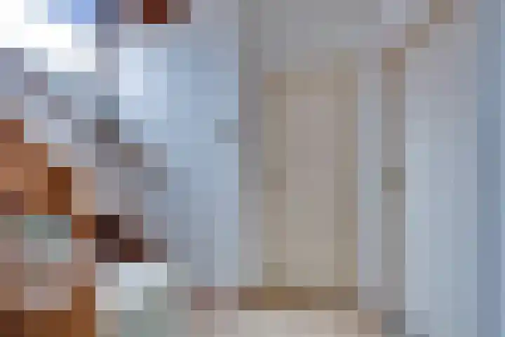 Pauwenhof 17 Goes thumbnail 44