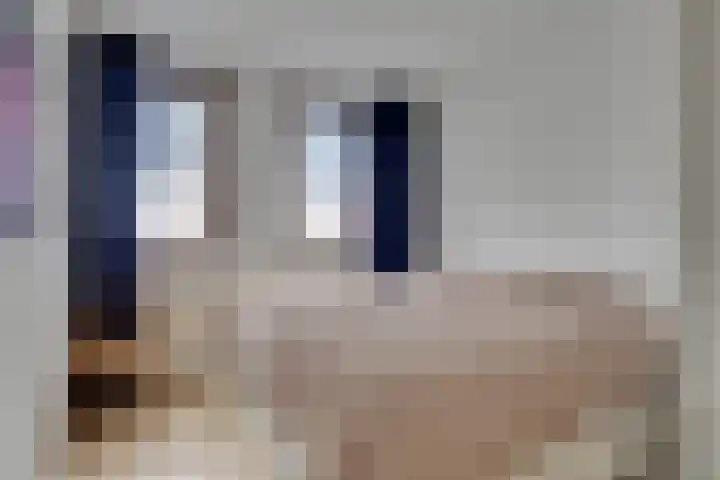 Pauwenhof 17 Goes thumbnail 47