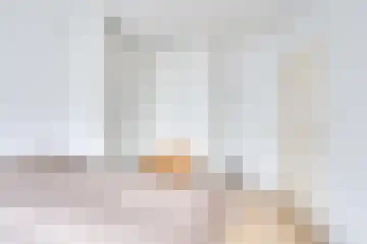 Pauwenhof 17 Goes thumbnail 48