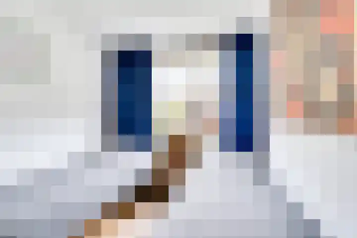 Pauwenhof 17 Goes thumbnail 51