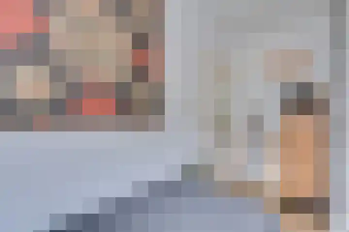 Pauwenhof 17 Goes thumbnail 53