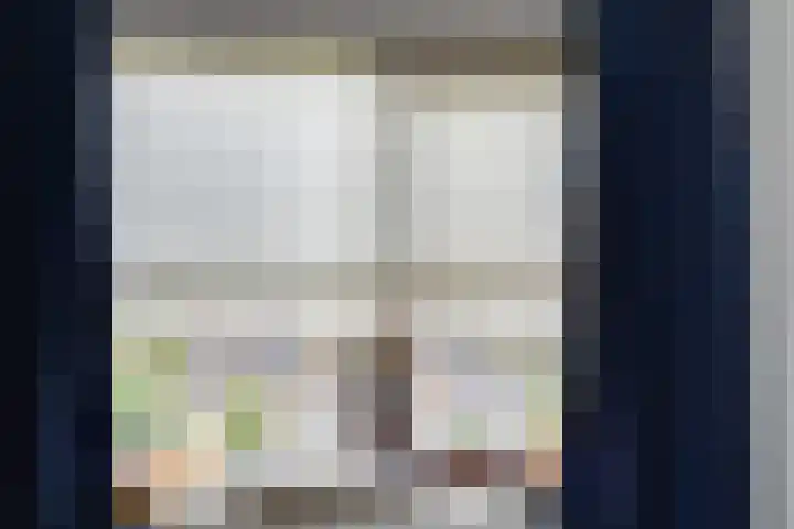 Pauwenhof 17 Goes thumbnail 54
