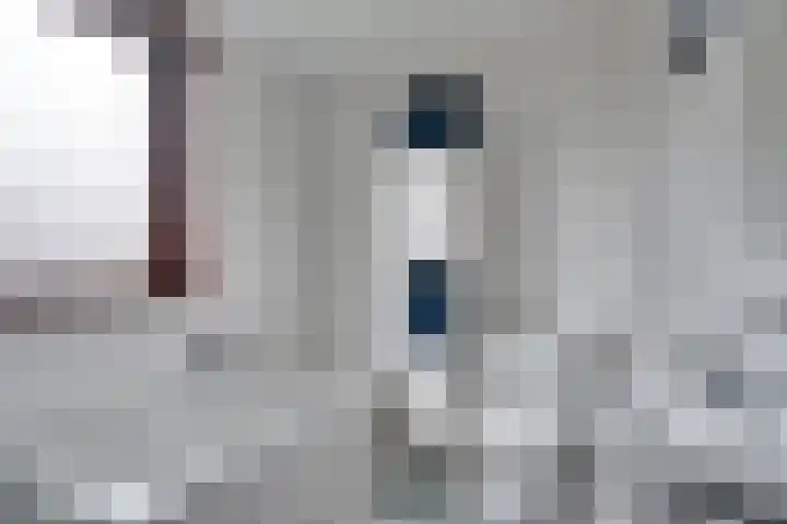 Pauwenhof 17 Goes thumbnail 55