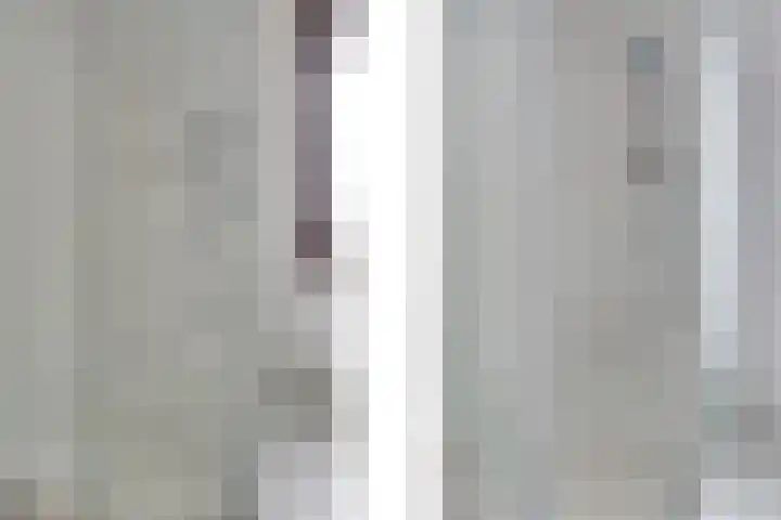 Pauwenhof 17 Goes thumbnail 58