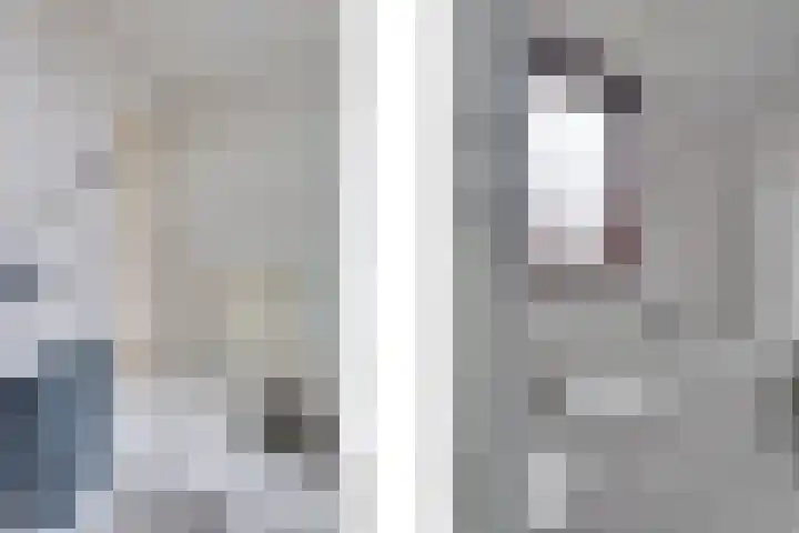 Pauwenhof 17 Goes thumbnail 60