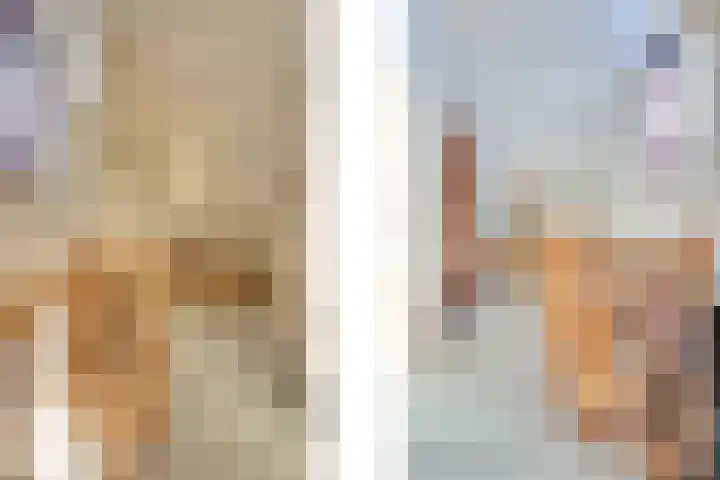 Pauwenhof 17 Goes thumbnail 61