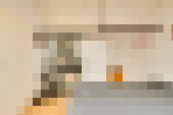 Pauwenhof 17 Goes thumbnail 63