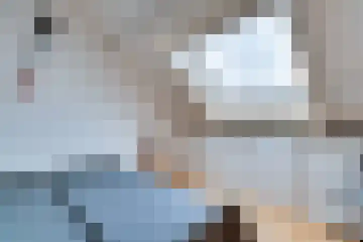 Pauwenhof 17 Goes thumbnail 64