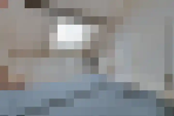 Pauwenhof 17 Goes thumbnail 65