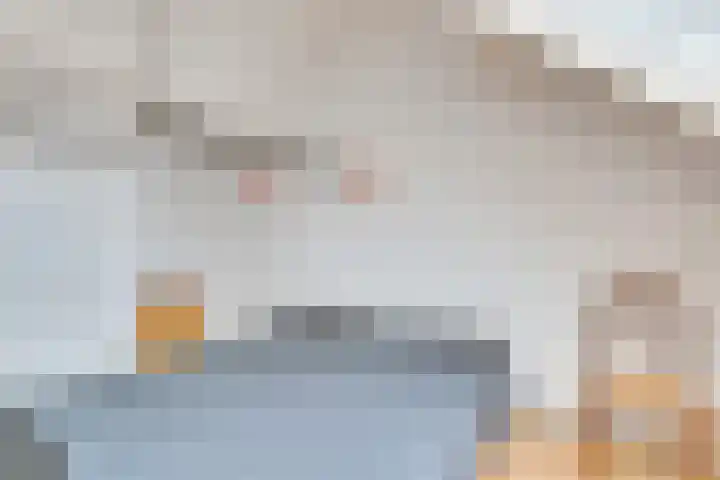Pauwenhof 17 Goes thumbnail 66
