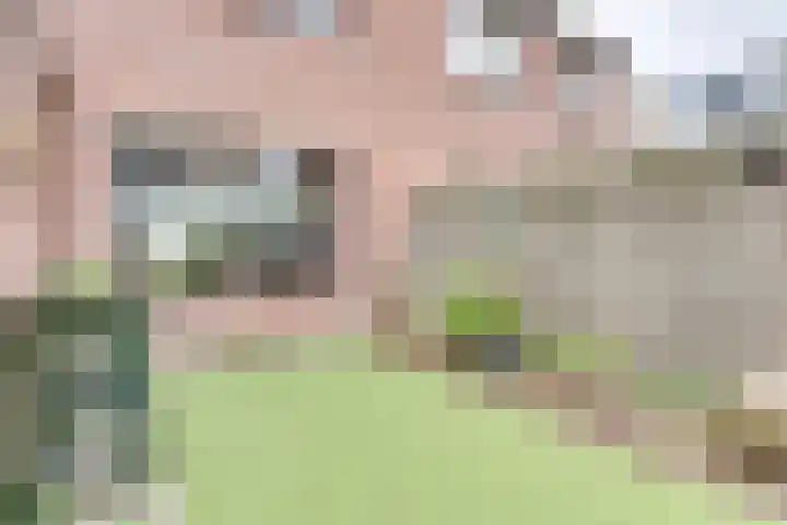 Pauwenhof 17 Goes thumbnail 67
