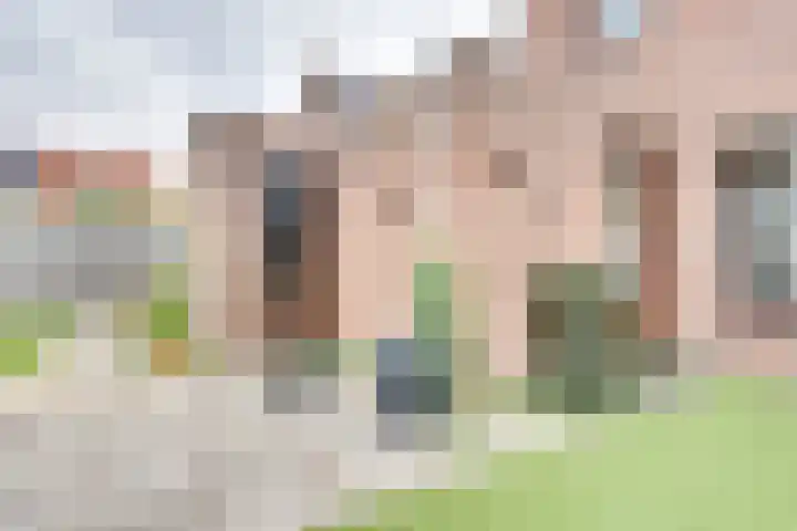 Pauwenhof 17 Goes thumbnail 69