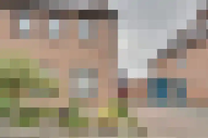 Pauwenhof 17 Goes thumbnail 7