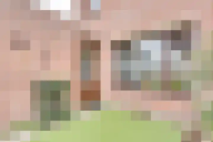Pauwenhof 17 Goes thumbnail 70