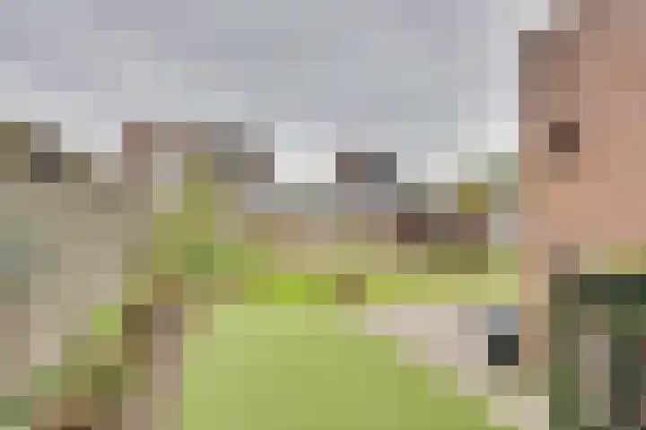 Pauwenhof 17 Goes thumbnail 71