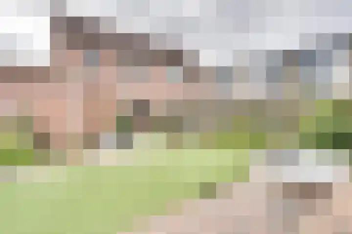 Pauwenhof 17 Goes thumbnail 73