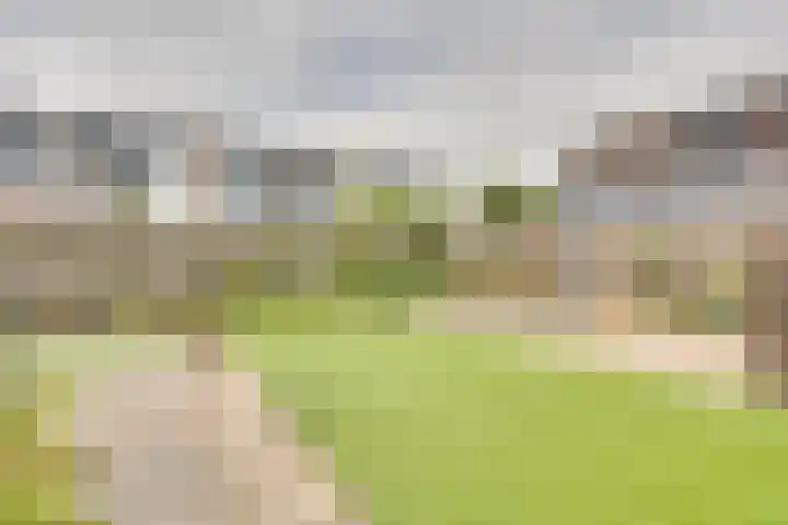 Pauwenhof 17 Goes thumbnail 77