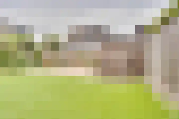 Pauwenhof 17 Goes thumbnail 78