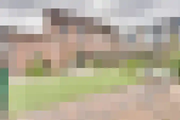 Pauwenhof 17 Goes thumbnail 79