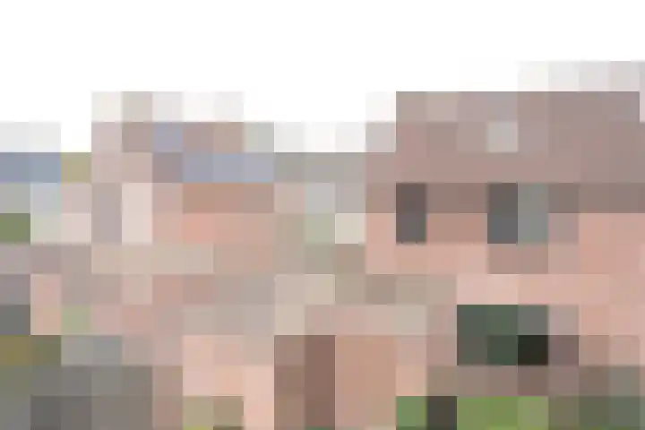 Pauwenhof 17 Goes thumbnail 81