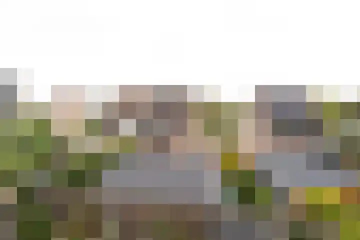 Pauwenhof 17 Goes thumbnail 85