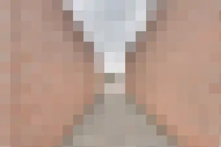 Pauwenhof 17 Goes thumbnail 9