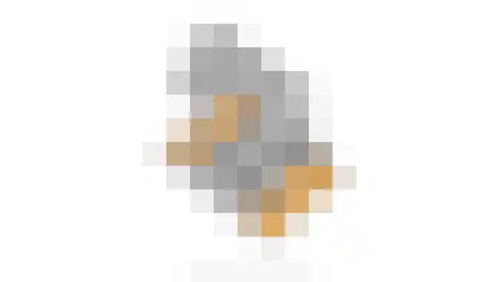 Pauwenhof 17 Goes thumbnail 97