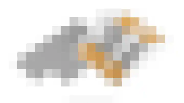 Pauwenhof 17 Goes thumbnail 99
