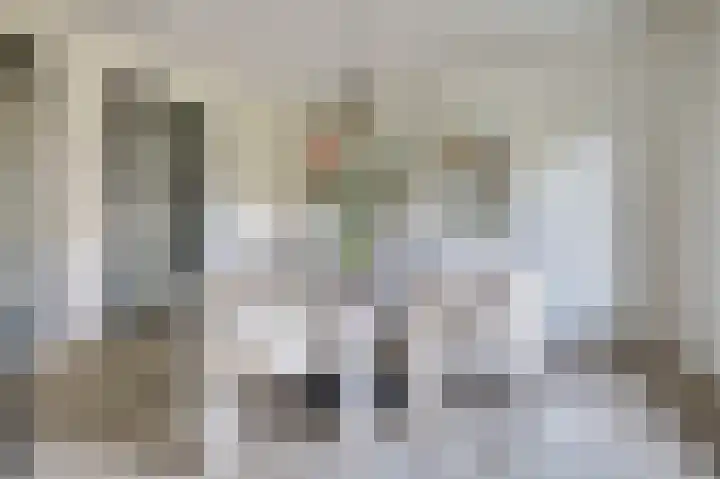 Pauwenhof 45 Goes thumbnail 11