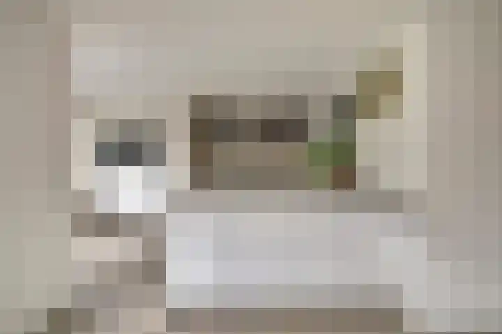 Pauwenhof 45 Goes thumbnail 13