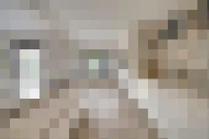 Pauwenhof 45 Goes thumbnail 14