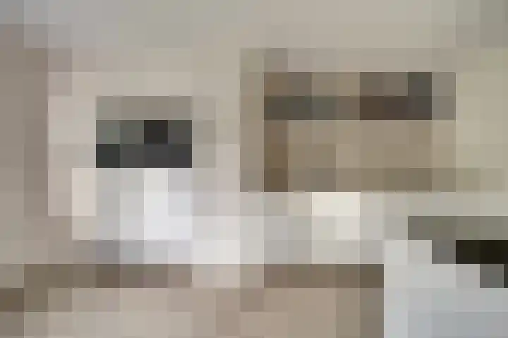 Pauwenhof 45 Goes thumbnail 17