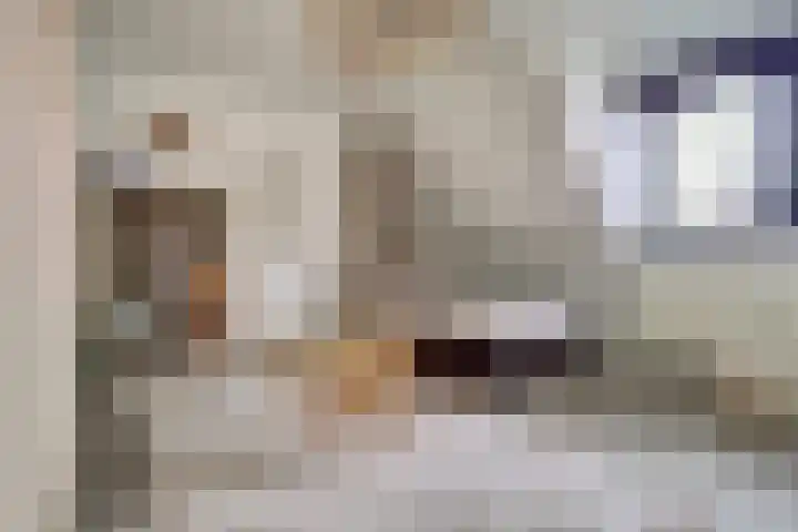 Pauwenhof 45 Goes thumbnail 25