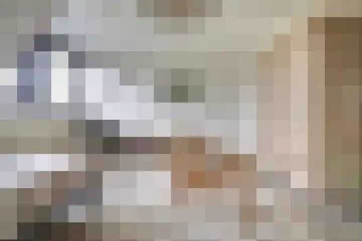 Pauwenhof 45 Goes thumbnail 26