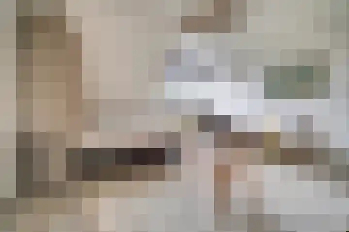 Pauwenhof 45 Goes thumbnail 27