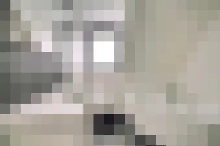 Pauwenhof 45 Goes thumbnail 28
