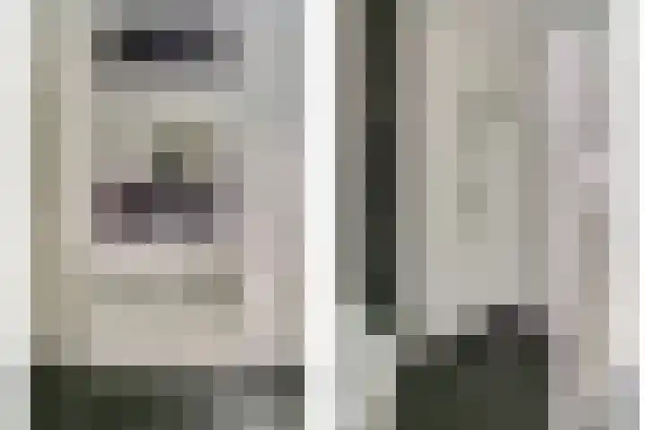 Pauwenhof 45 Goes thumbnail 29