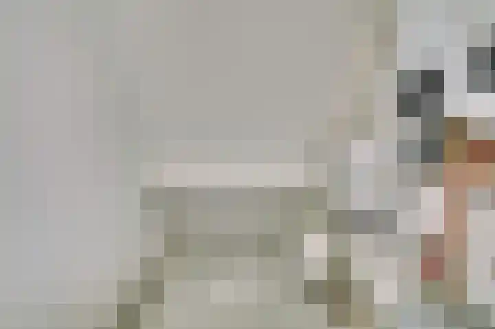 Pauwenhof 45 Goes thumbnail 31