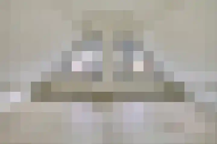 Pauwenhof 45 Goes thumbnail 32