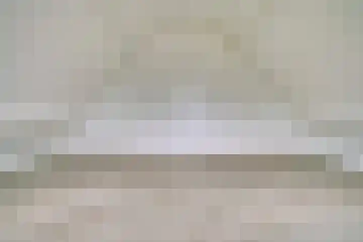 Pauwenhof 45 Goes thumbnail 33
