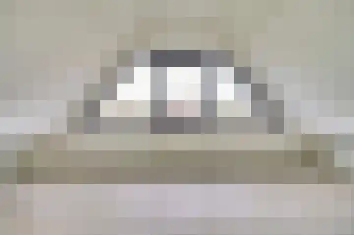 Pauwenhof 45 Goes thumbnail 34