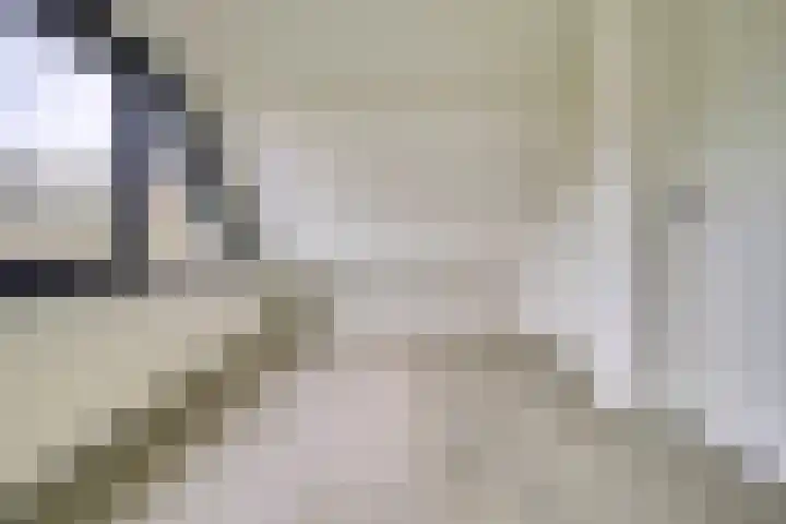 Pauwenhof 45 Goes thumbnail 35