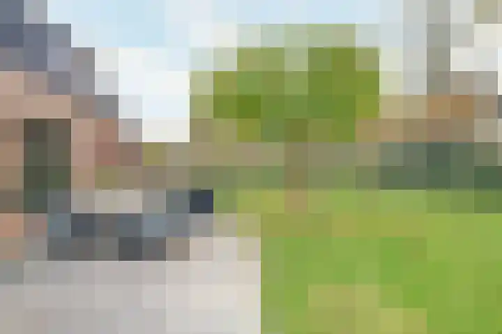 Pauwenhof 45 Goes thumbnail 36
