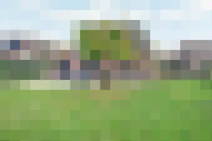 Pauwenhof 45 Goes thumbnail 37