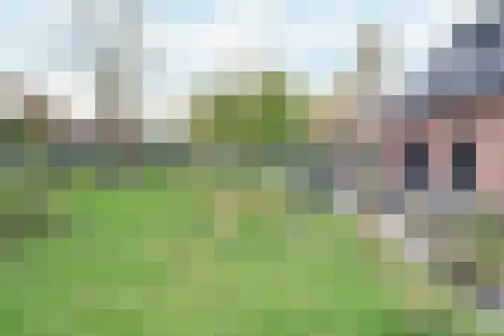 Pauwenhof 45 Goes thumbnail 38