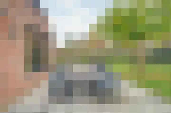 Pauwenhof 45 Goes thumbnail 39