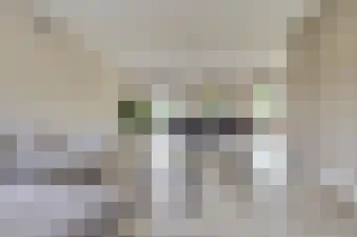 Pauwenhof 45 Goes thumbnail 4