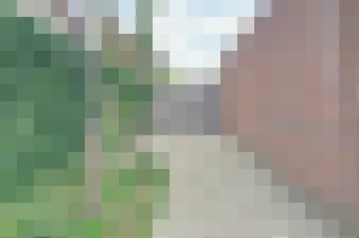 Pauwenhof 45 Goes thumbnail 40