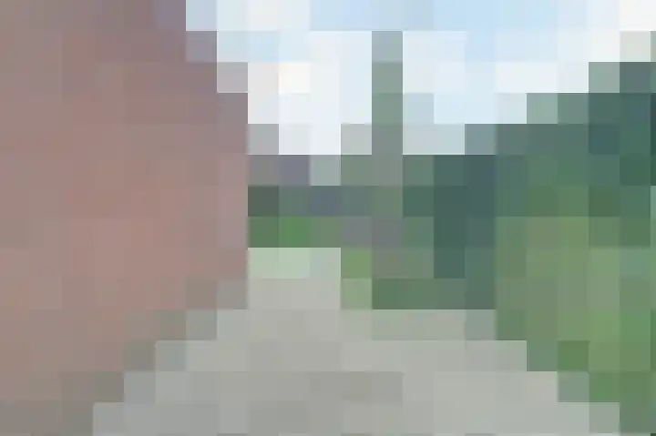 Pauwenhof 45 Goes thumbnail 41